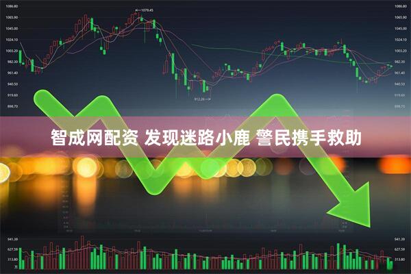 智成网配资 发现迷路小鹿 警民携手救助